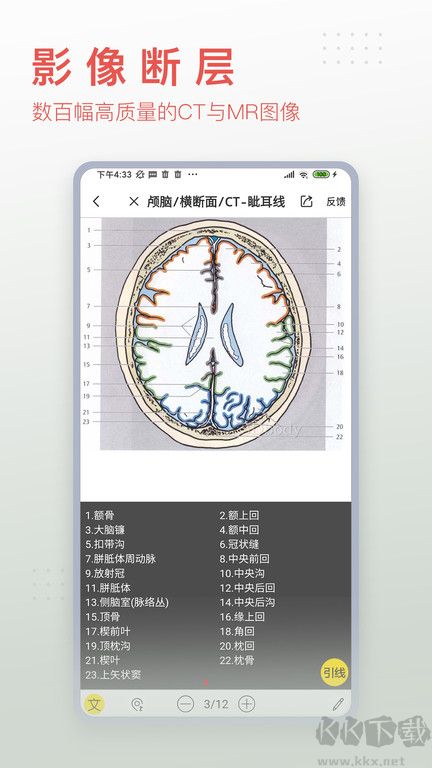 3Dbody2023免費(fèi)使用