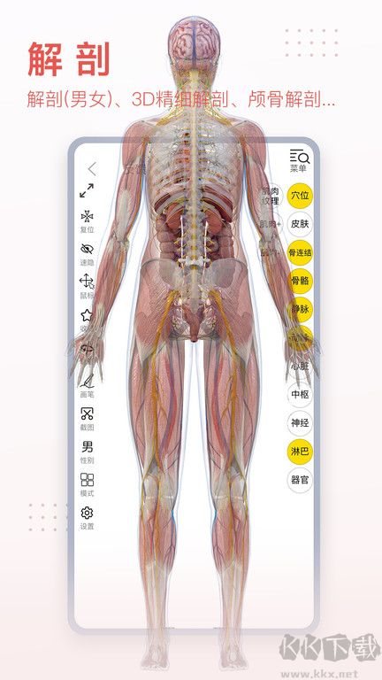 3Dbody2023免費(fèi)使用
