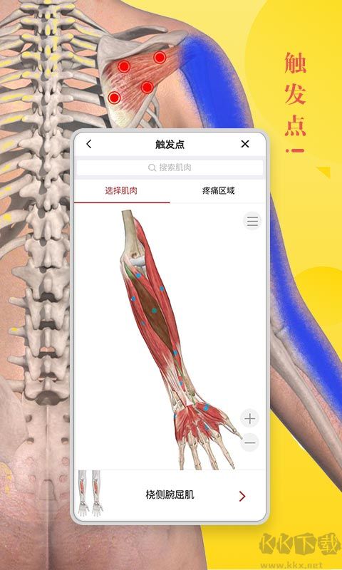 3Dbody2023免費(fèi)使用