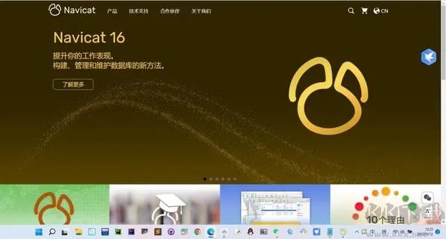 Navicat Premium免登錄綠色版(數(shù)據(jù)庫(kù)開(kāi)發(fā)工具)