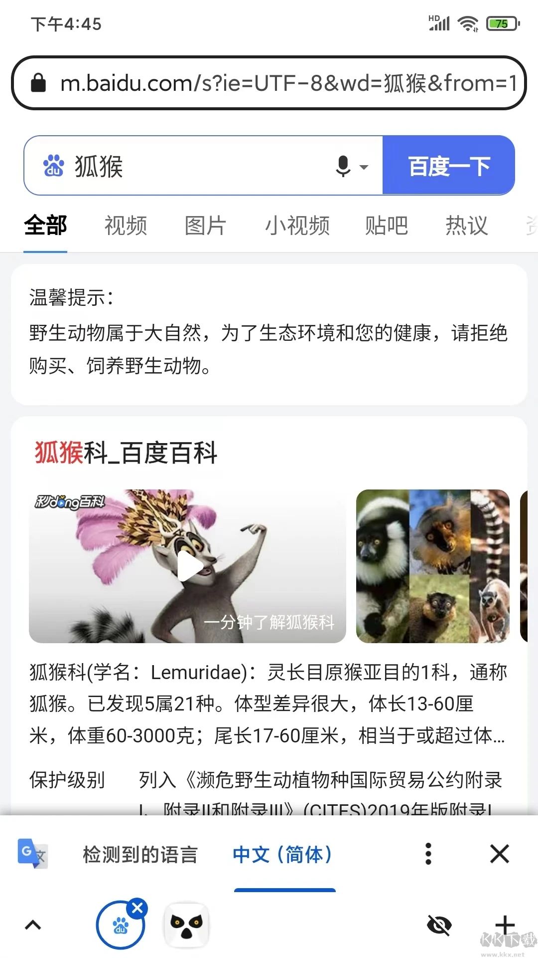 狐猴瀏覽器最新版