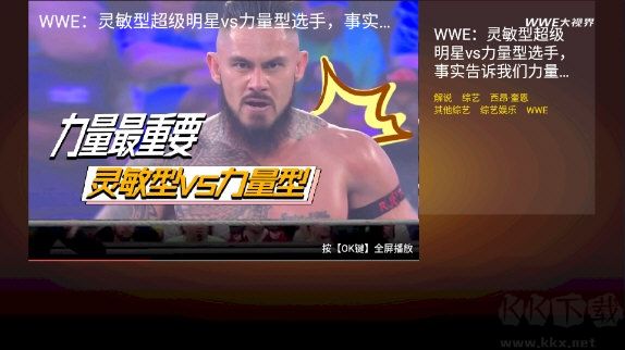 wwe大視界TV版
