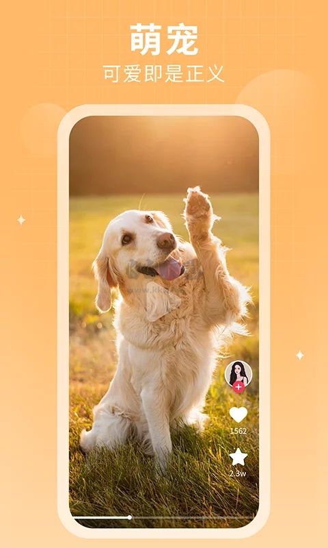 多多追劇app(熱門網(wǎng)劇)官方新版本