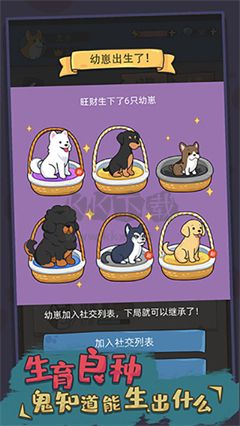 狗生模擬器最新版