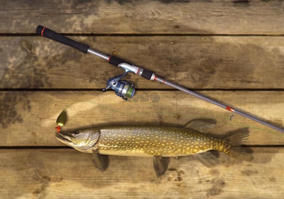 釣魚星球中文版