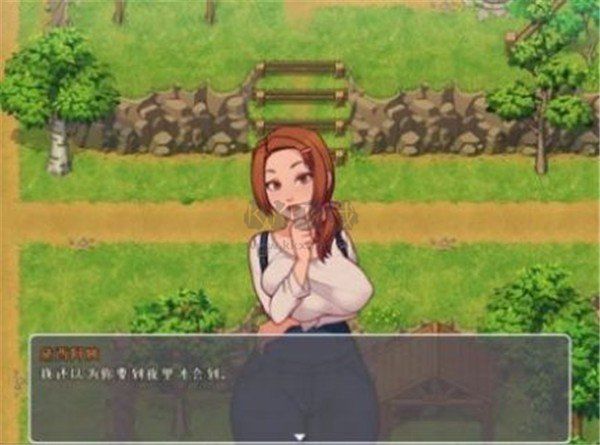 鄉(xiāng)村生活桃子漢化移植版