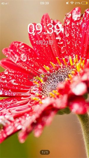 輕甜心壁紙app官網(wǎng)最新版
