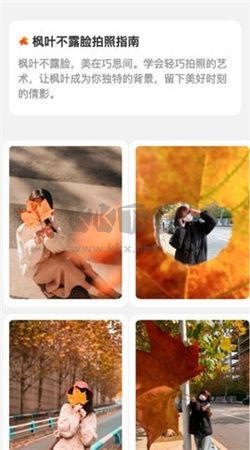 楓葉悅看app安卓官方最新版