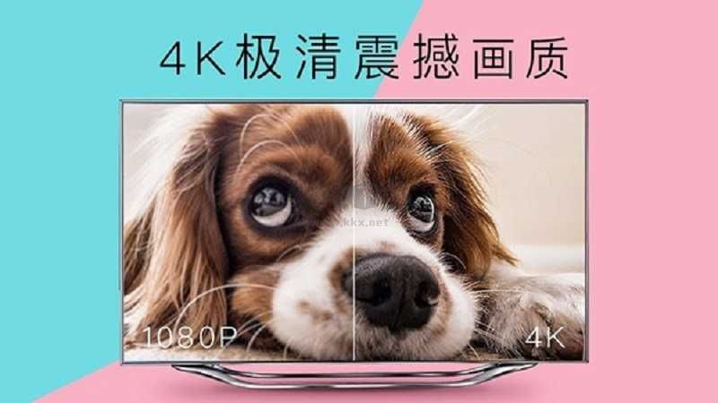 4k花園2024官方版