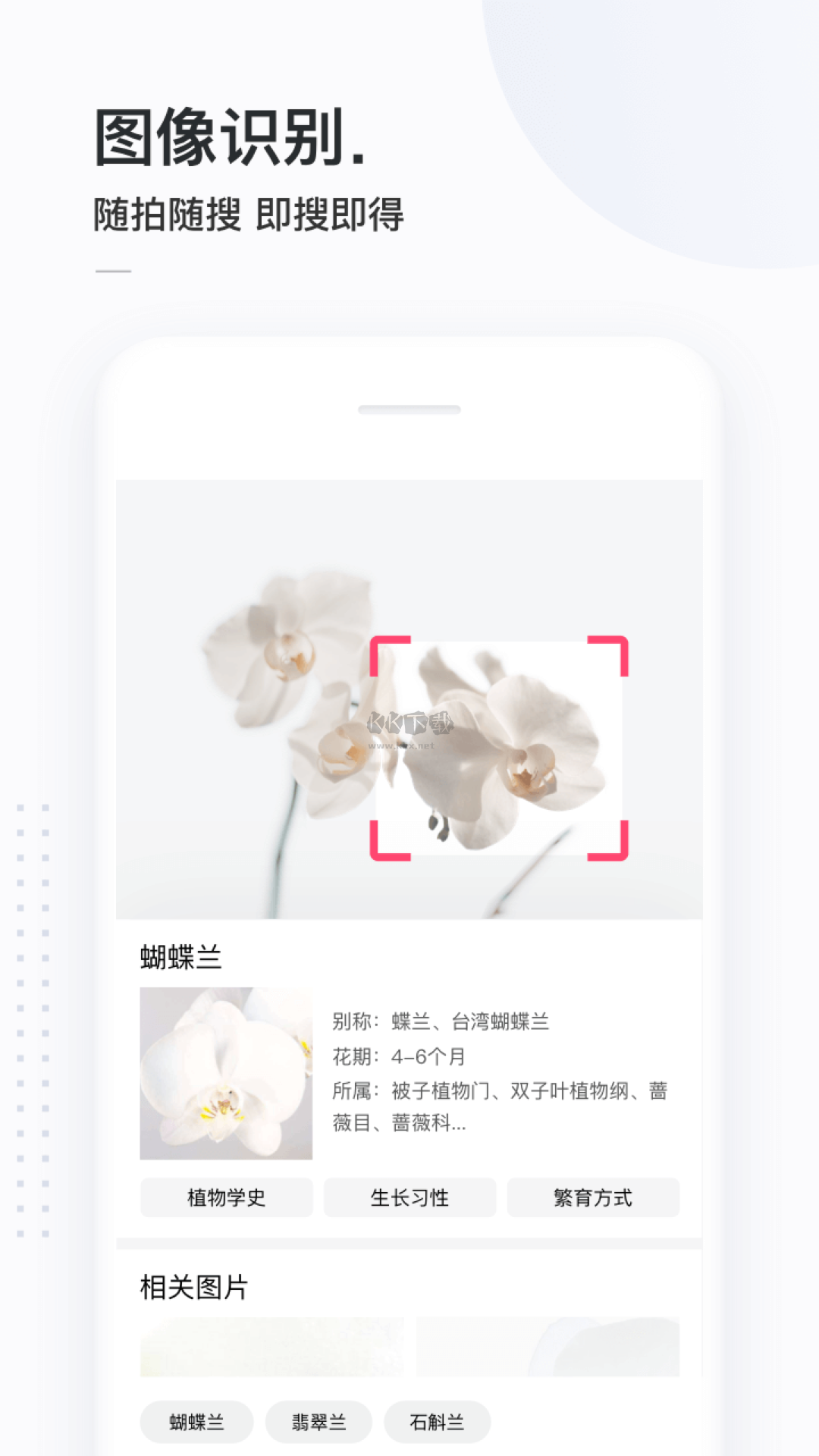 簡單搜索app安卓版2024最新
