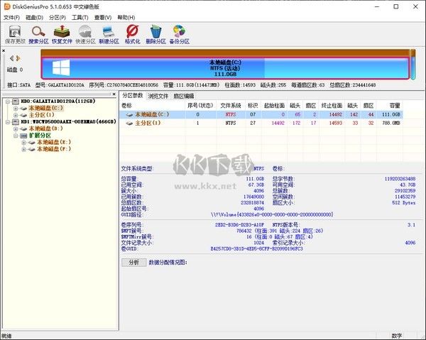 DiskGenius Pro專(zhuān)業(yè)版