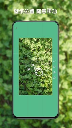 星咩視頻壁紙app官網(wǎng)版2024最新