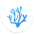 VSCodium(VS Code代碼編輯器) v1.85.2 中文免費版