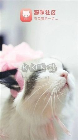 貓咪社區(qū)app官方版2024最新