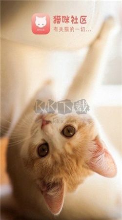 貓咪社區(qū)app官方版2024最新