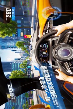 真實公路汽車2