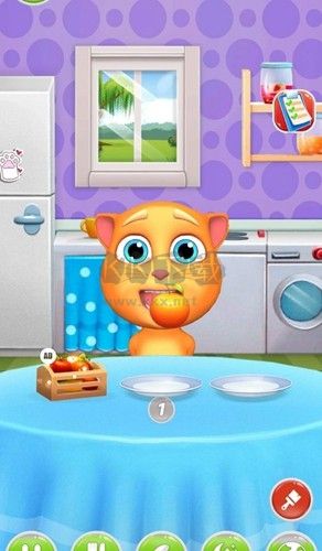 我的會(huì)說話的貓Tommy中文版