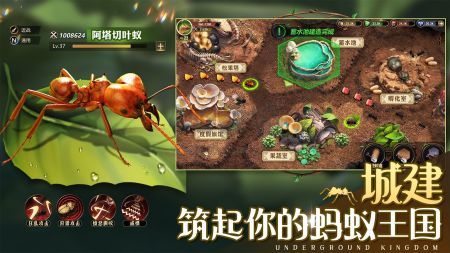 小小蟻國手游安卓版