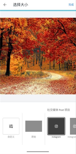 Adobe Express Pro免費(fèi)使用版