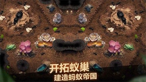 小小蟻國(guó)臺(tái)灣版