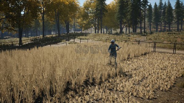 中世紀(jì)王電腦版