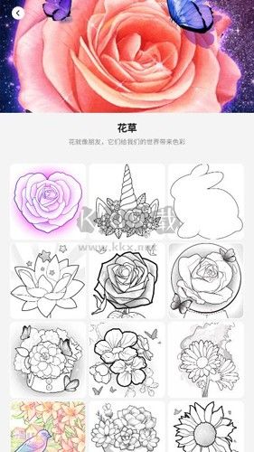 顏色景觀2024最新手機版