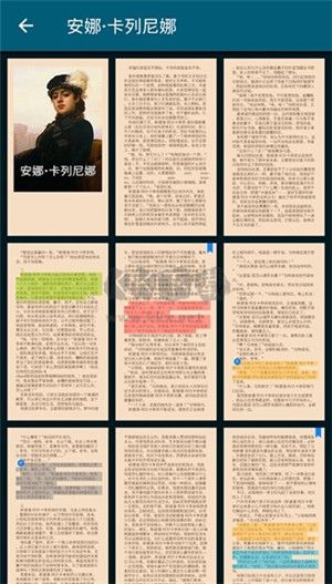 readera專業(yè)版