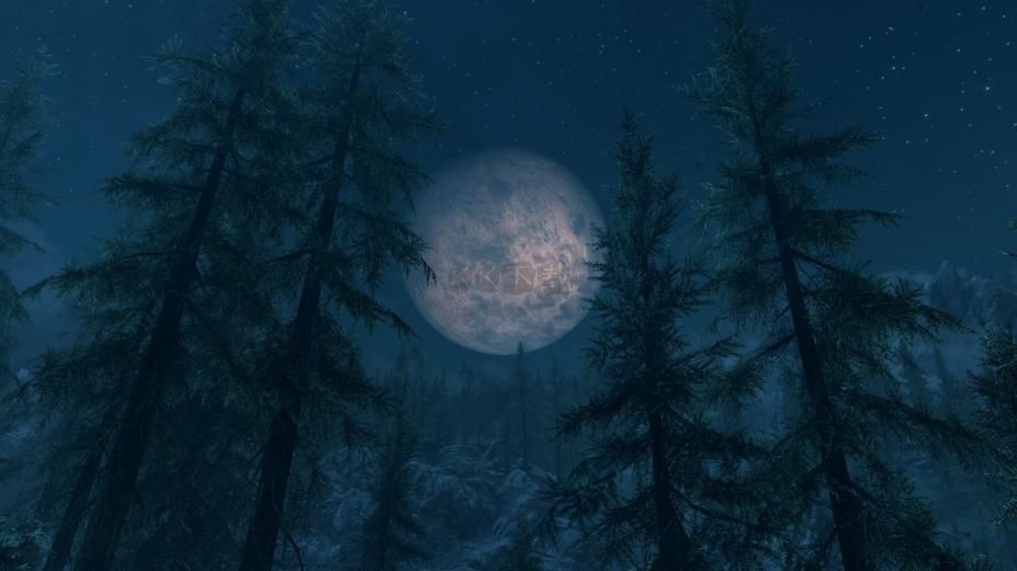 古卷軸5：周年紀(jì)念版