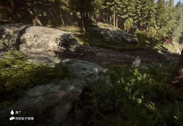 森林之子電腦版免費(fèi)下載