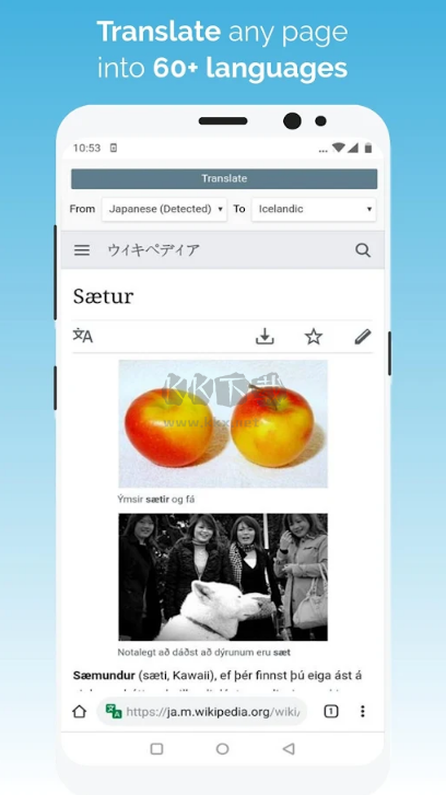 kiwi瀏覽器app谷歌版