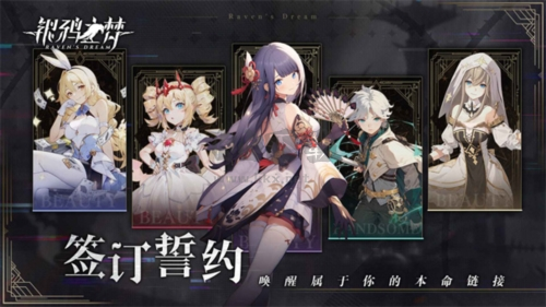 銀鴉之夢(mèng)測(cè)試服