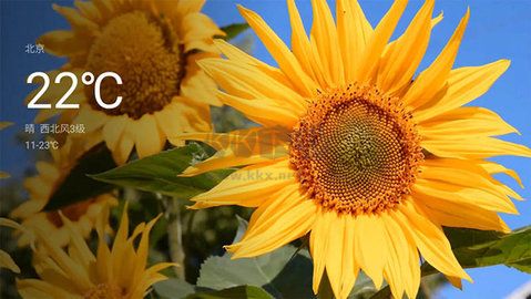 氛圍壁紙官方版