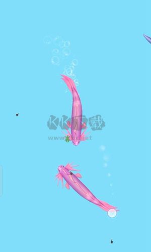 我要召喚神龍破解版