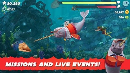 饑餓的鯊魚進(jìn)化內(nèi)置菜單版