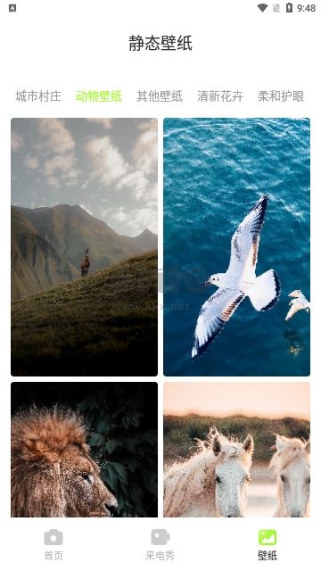 甜芽相機(jī)高清版