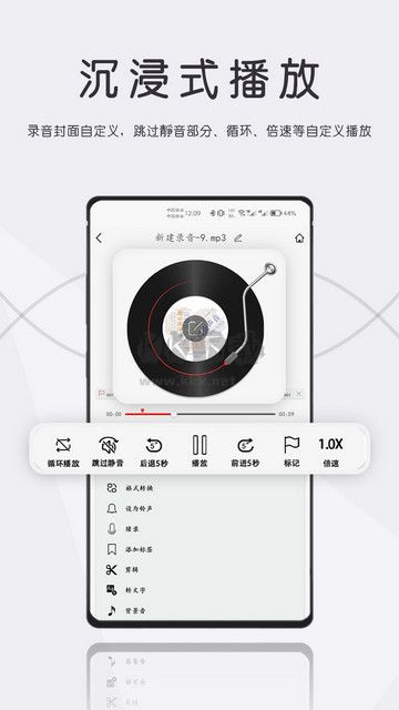 大錄音師正版