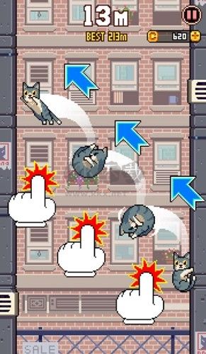 貓?zhí)平獍?>
                                <span id=