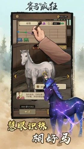 賽馬也瘋狂游戲