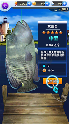 全民釣魚(yú)