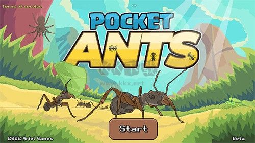 口袋螞蟻模擬器安卓版