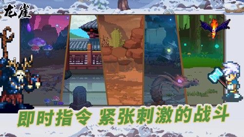 龍崖國(guó)際服