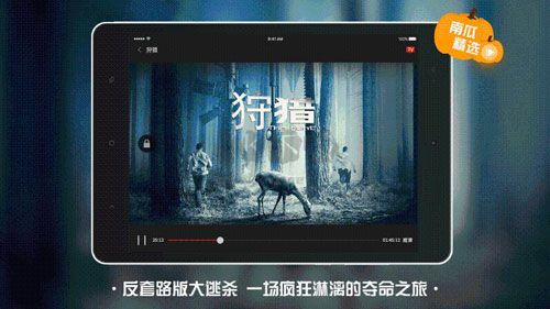 南瓜電影