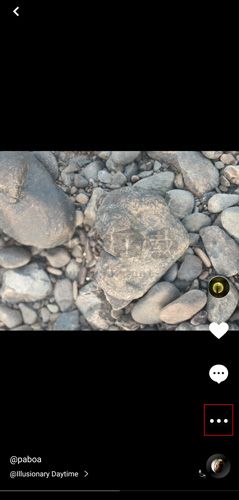 圖蟲(chóng)app圖片3