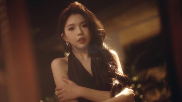 我和七個俏房客官方客戶端