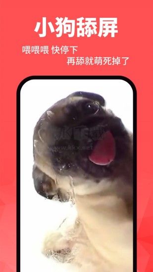 動態(tài)壁紙精靈最新版