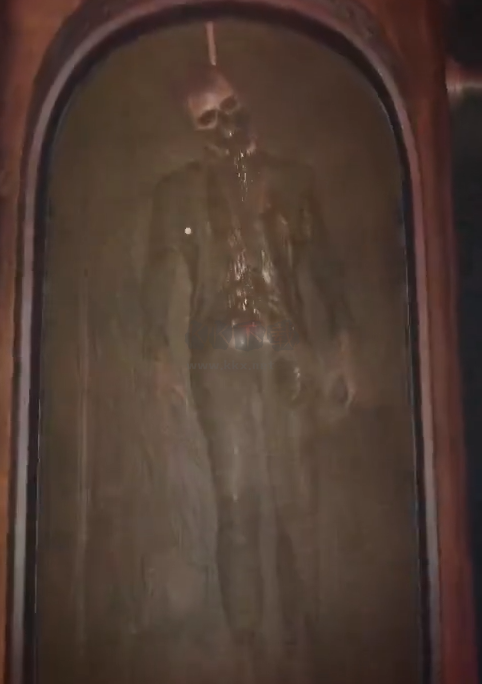 幽靈觀察者最新版客戶端