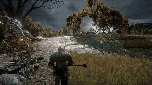 凡爾賽法環(huán)