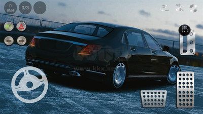 真實(shí)泊車2內(nèi)置菜單版