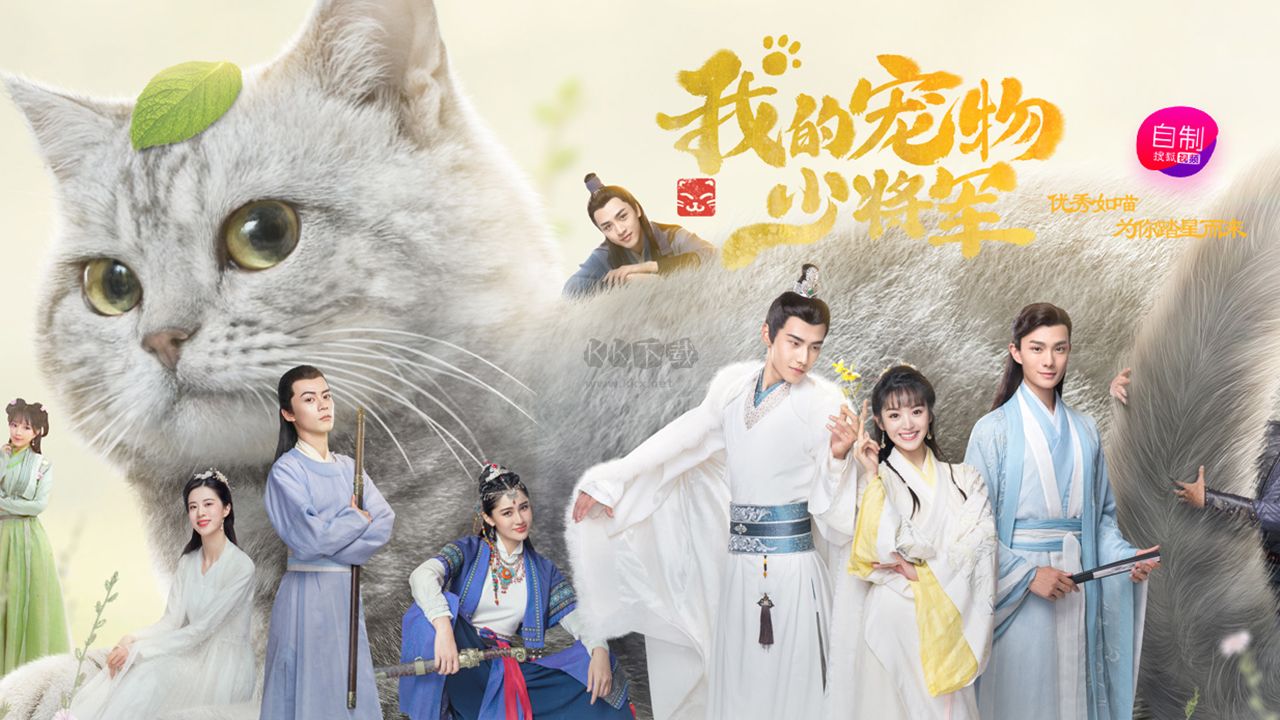 搜狐視頻精簡(jiǎn)版