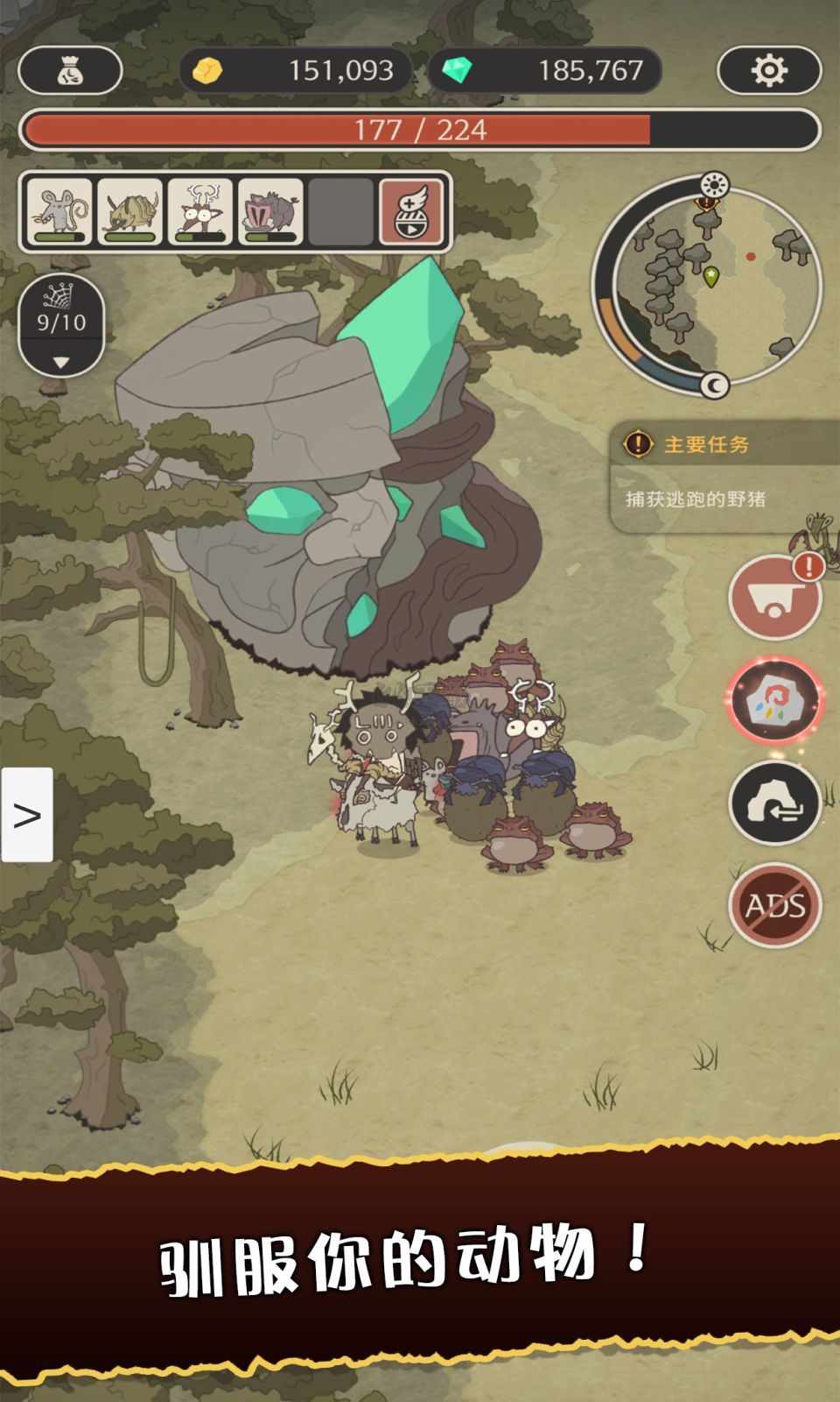 狂野馴獸師:新紀(jì)元